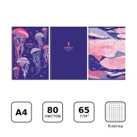 80БиДжи А4 кл на гребне 